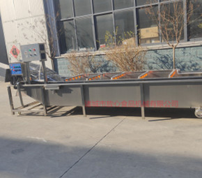 去農(nóng)藥殘留清洗機